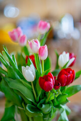 A bouquet of colorful tulips