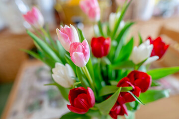 A bouquet of colorful tulips