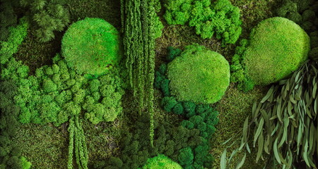 background of green moss on the wall in the form of a picture. texture of green eco-friendly moss...