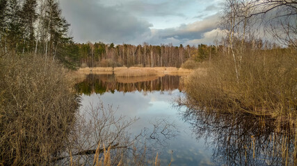 Beautiful landscape of the lake in early spring, which reflects the sky and the surrounding trees and reeds