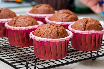 Close-up of empty, not decorated cupcakes fresh from the oven.