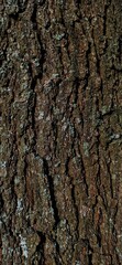 texture