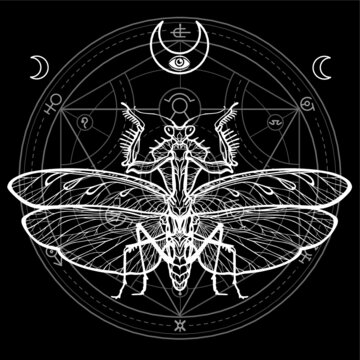 Graphic decorative image of the Mantis. Alchemical circle of transformations. Esoteric, Mysticism, Sorcery.  Vector illustration isolated on a black background.