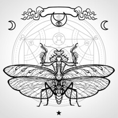 Graphic decorative image of the Mantis. Alchemical circle of transformations. Esoteric, Mysticism, Sorcery.  Vector illustration.