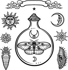Set of alchemical symbols. Origin of life. Magic butterfly in a test tube. Religion, mysticism, occultism, sorcery.Vector illustration isolated on a white background.