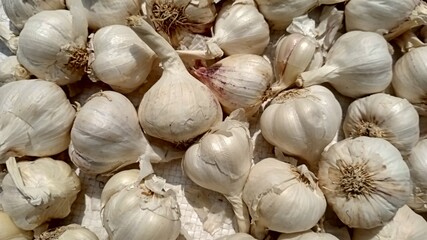 garlic on the market