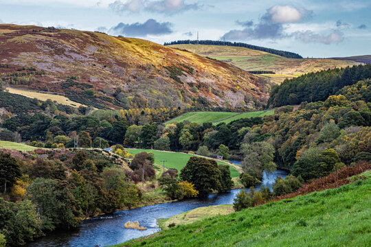 River Tweed near Thornilee, Scottish Borders