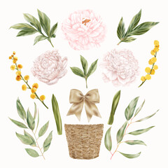 Pink And Yellow Flowers, Peony And Spring Mimosa Flowers With Green Leaves, Straw Pot, Ribbon, Bow

