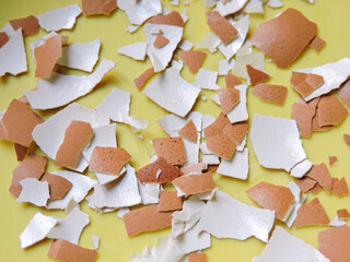 scattered eggshells on yellow background