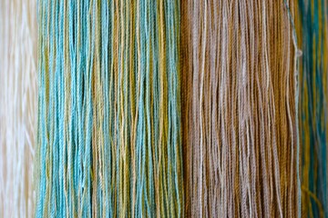 Decorative colourful brushes for interior