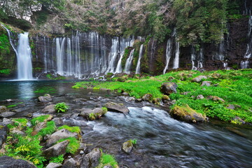 きれいな水が湧き出る滝