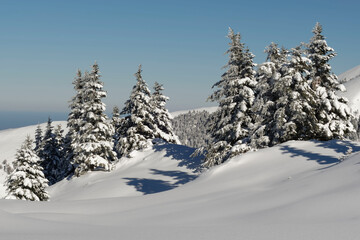 Fototapeta na wymiar Snowy landscape in Hautes-Pyrenees, France