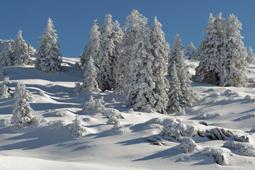 Snowy landscape in Hautes-Pyrenees, France