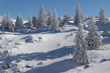 Fototapeta na wymiar Snowy landscape in Hautes-Pyrenees, France