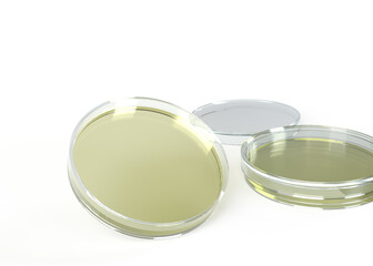Petri dish  (3D graphic )