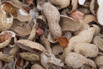 Dried peanuts with shells. Close up image.