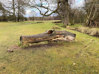 A view of the Shropshire Countryside at Attingham Park