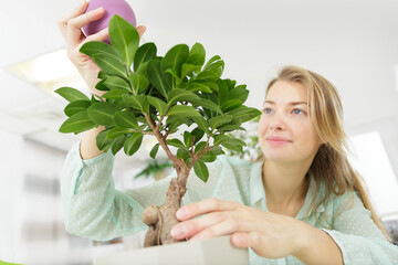 woman taking care of her bonsai