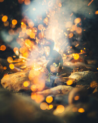Velociraptor en una explosión