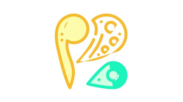 patterns set color icon animation