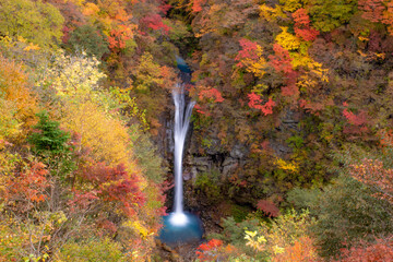 紅葉の中を流れる滝