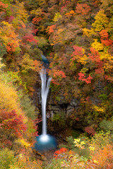 紅葉の中を流れる滝