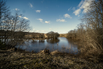 Fototapeta premium countryside forest river with blue water and rocks on the shore