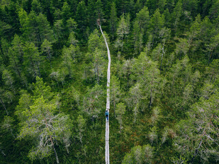 Aerial view of forest with wooden hiking trail in Finland. Girl hiking in Salamajärvi National Park