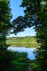 Fototapeta na wymiar scenic summer river view in forest with green foliage tree leaf and low water