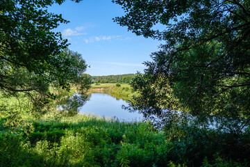 scenic summer river view in forest with green foliage tree leaf and low water