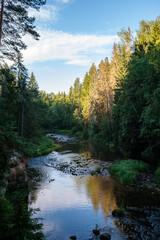 Fototapeta na wymiar scenic summer river view in forest with green foliage tree leaf and low water