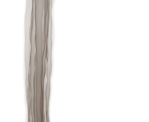 Vertical torn paper white empty space page border