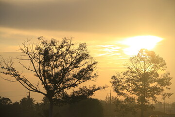 Fototapeta na wymiar The sun rises with trees and sky
