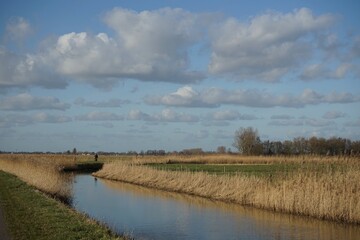 Wageningen Netherlands - 16 February 2018 - Nature reserve Hooilanden in Binnenveld near Wageningen in the Netherlands