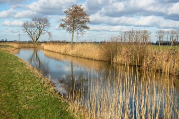 Wageningen Netherlands - 16 February 2018 - Nature reserve Hooilanden in Binnenveld near Wageningen in the Netherlands