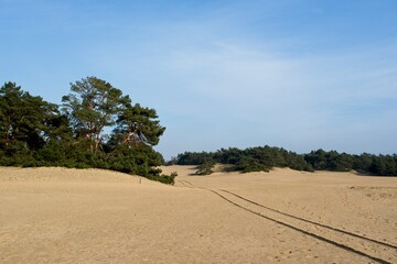 Wekerom Netherlands - 17 February 2018 - Sand dunes in nature reserve Wekeromse Zand near Ede in the Netherlands