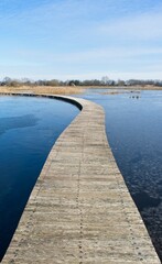 Fototapeta premium Nature reserve Empese and Tondense Heide in the East of the Netherlands