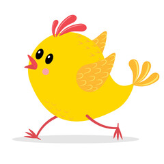 Chicken runs isolated on white background, color vector illustration