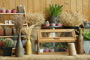 Shelf trees placed vases on table
