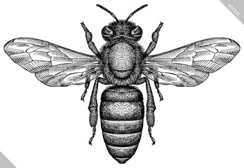 Engrave isolated bee hand drawn graphic illustration