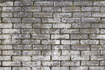 Background weathered brick wall with white plastering