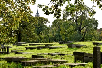Foto op Plexiglas The Hague, The Netherlands. Jewish cemetery, the hague, Holland, Europe © Gina