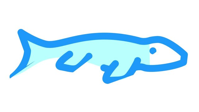 mosasaurus dinosaur color icon animation