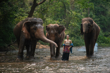 Fototapeta premium Beautiful Asian Woman wears thai dress with her elephant.