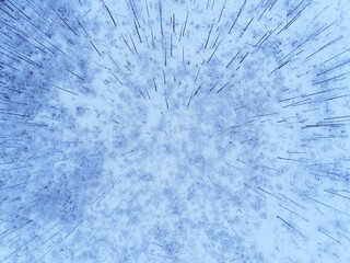 Fototapeta premium Deep Estonian bog and forest during winter season by drone view