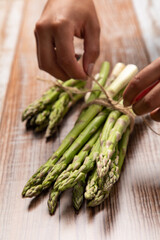 Beautiful hands tying asparagus on a wooden background
