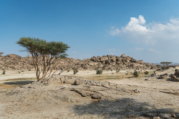 Landscape in Saudi Arabia.