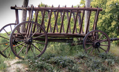 alter Leiterwagen auf einer Wiese