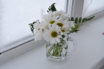 White daisies in a transparent glass on the window.