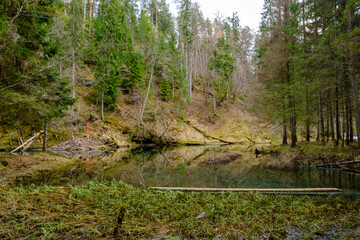 sandstone cliffs on the shore of forest river in Latvia